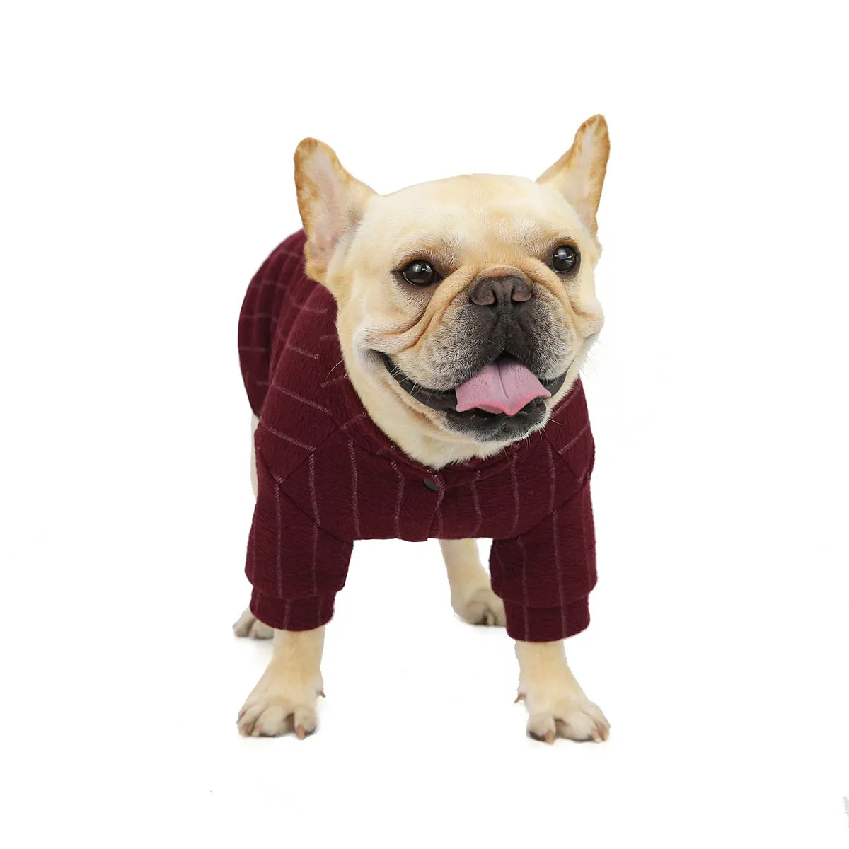 Autumn/Winter Baseball Sweater Pet Clothing