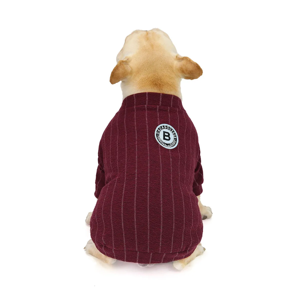 Autumn/Winter Baseball Sweater Pet Clothing