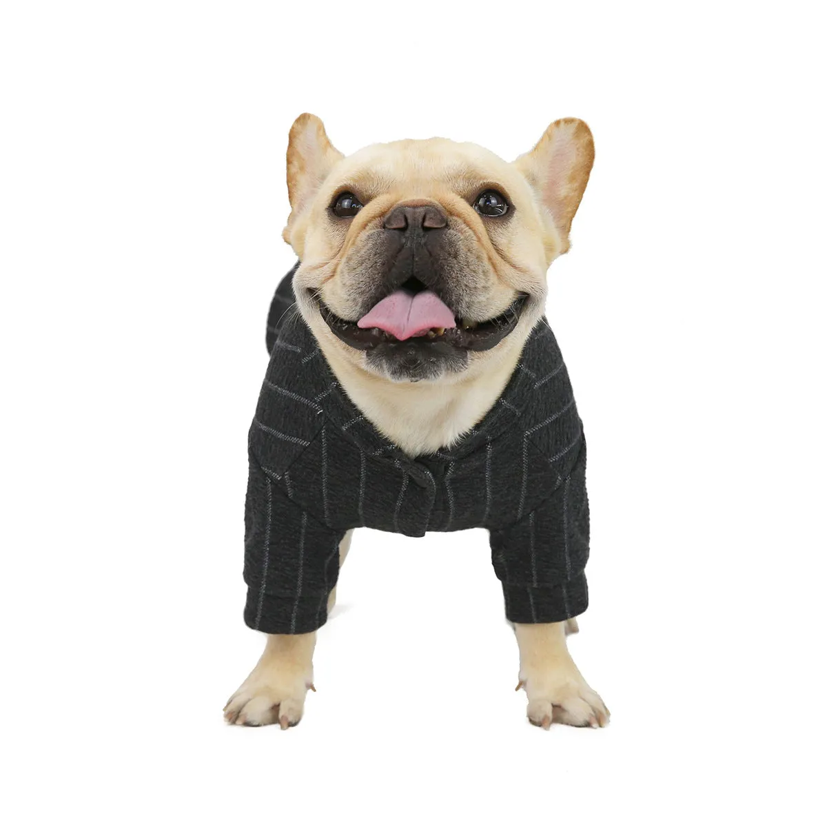 Autumn/Winter Baseball Sweater Pet Clothing