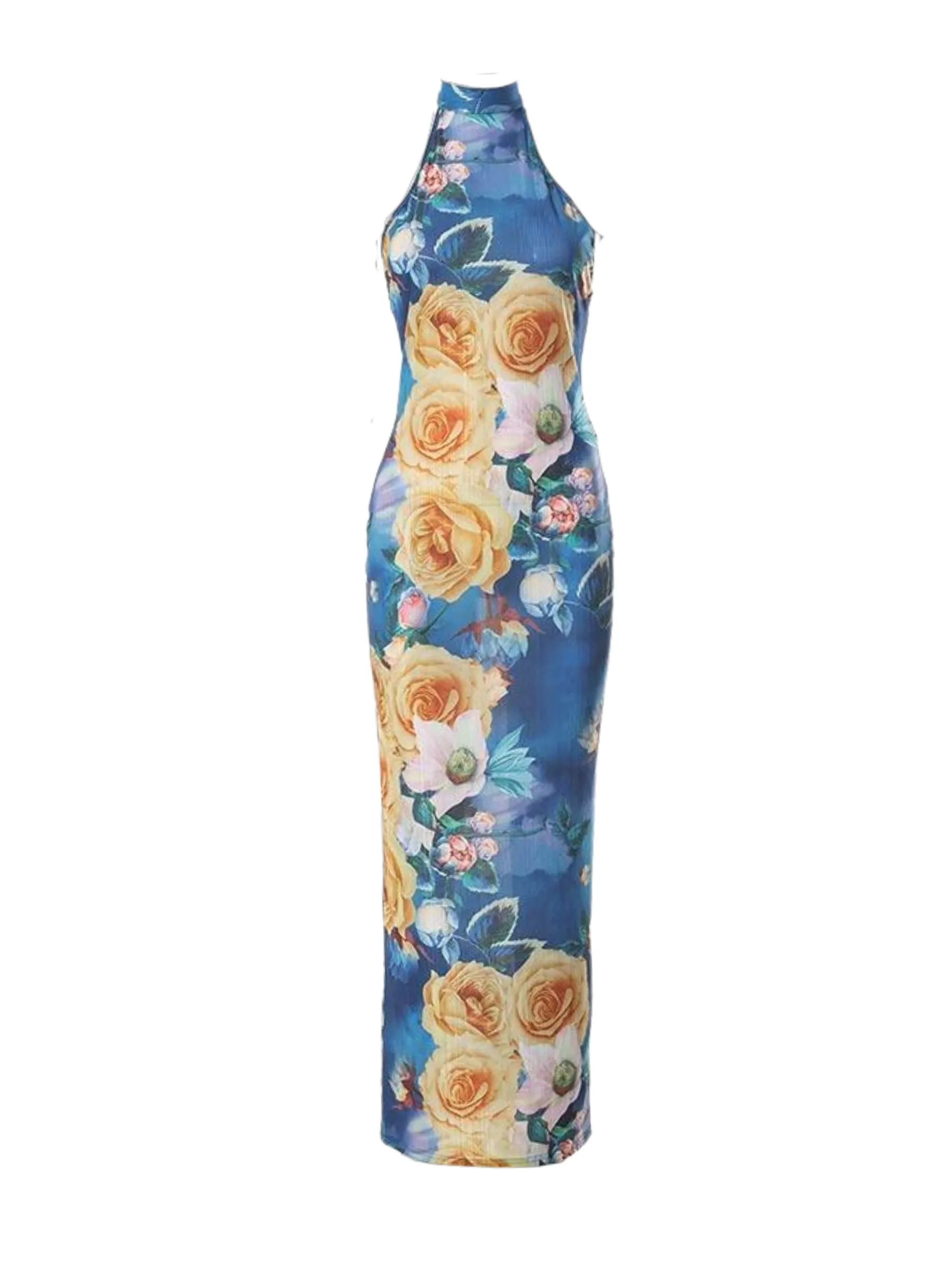 Bonnyshow Isobel Floral Maxi Dress