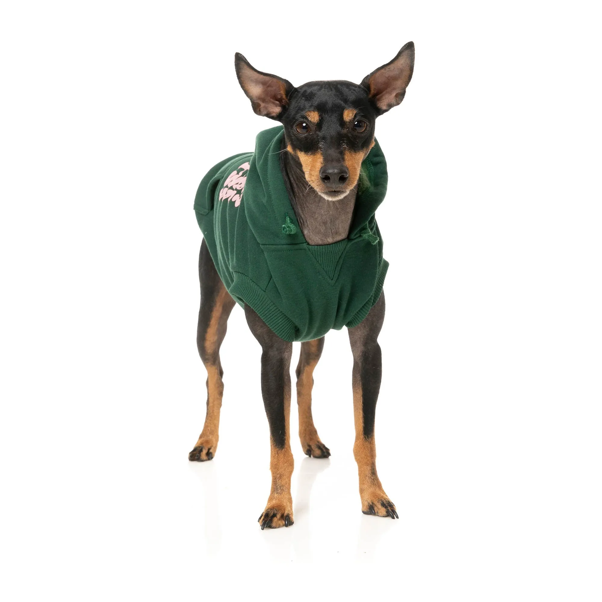 FuzzYard Dog Apparel Treats Hoodie Green SIze 1 XXSmall***