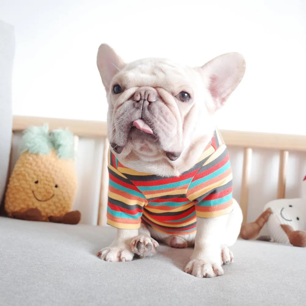 Pet Clothing Dog Fall Winter Clothing Knitted Stripe