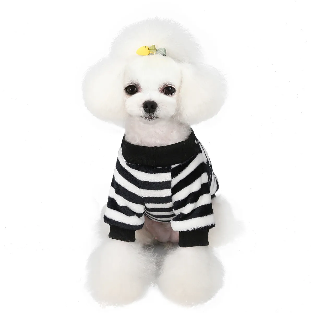 Pet soft coral fleece small dog pet clothing