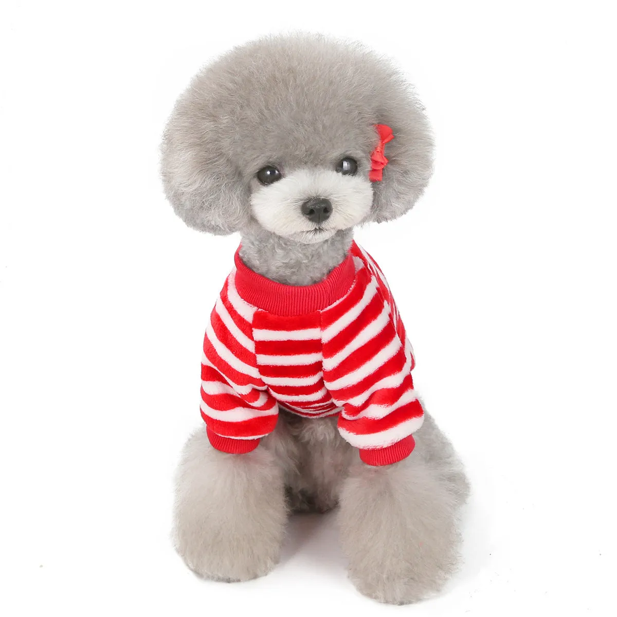 Pet soft coral fleece small dog pet clothing