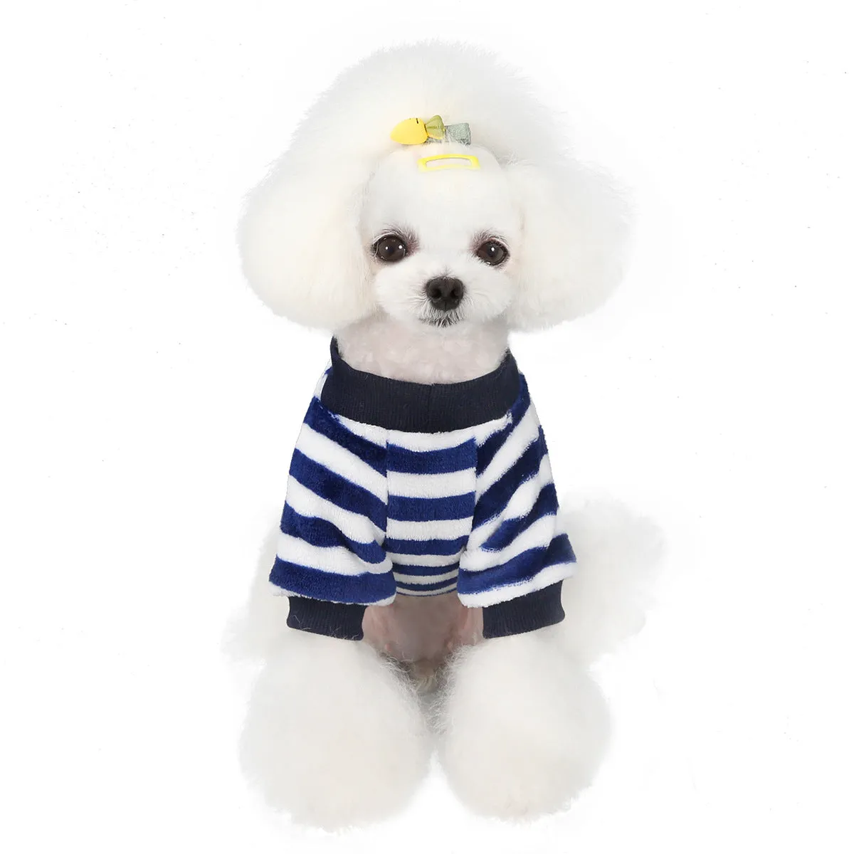 Pet soft coral fleece small dog pet clothing