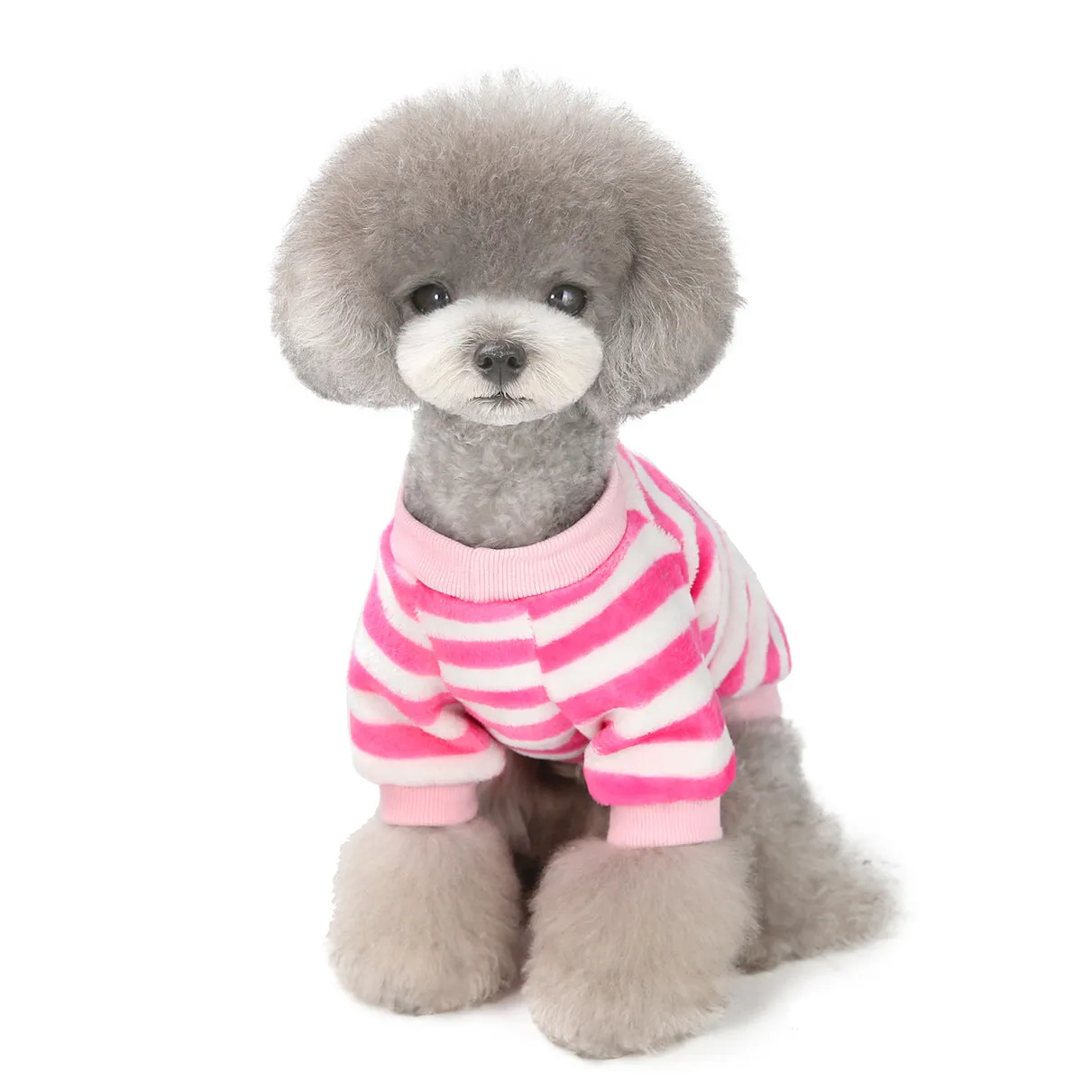 Pet soft coral fleece small dog pet clothing