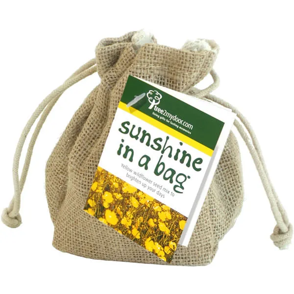 Sunshine in a Bag