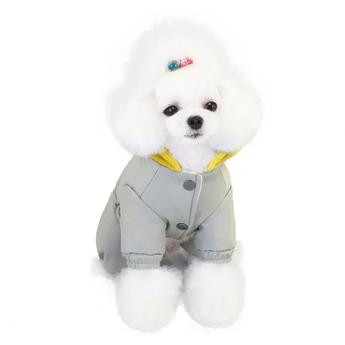 Windproof hooded winter pet clothing